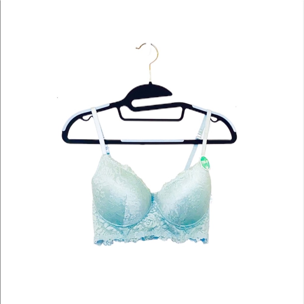 NWT Honeydew Intimates: 34C Pretty Green Lace Bustier